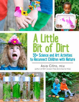 Cover of the book, A Little Bit of Dirt