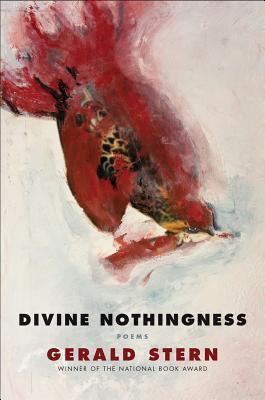 book cover for Divine Nothingness