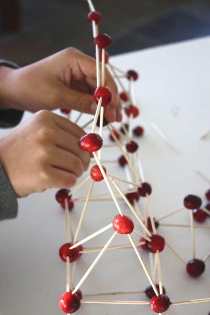 Building a bridge with toothpicks and cranberries