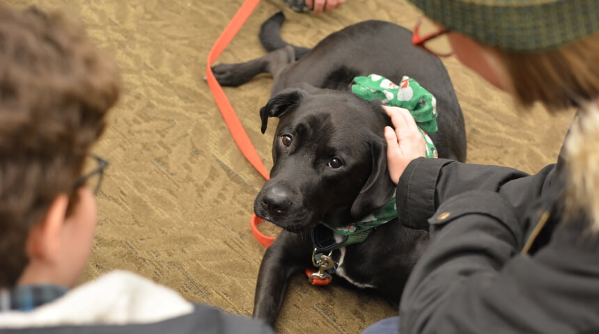An adult and child petting a black lab therapy dog on the floor of the library.