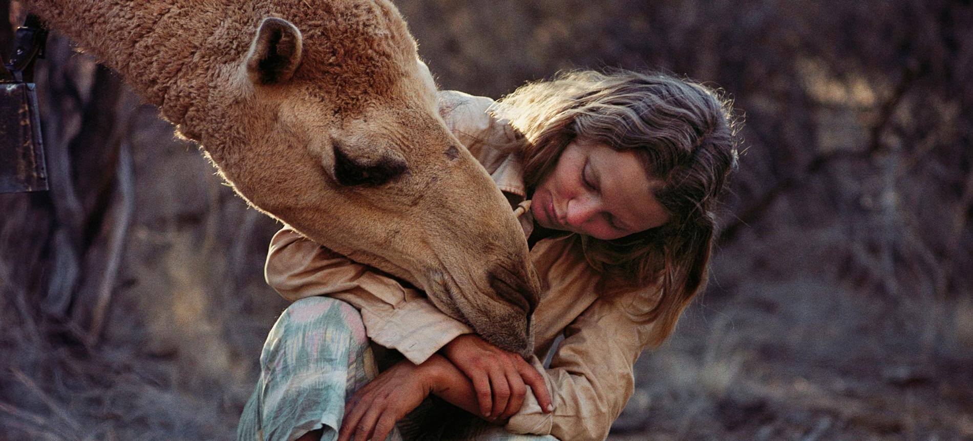 A woman is nuzzled by a camel