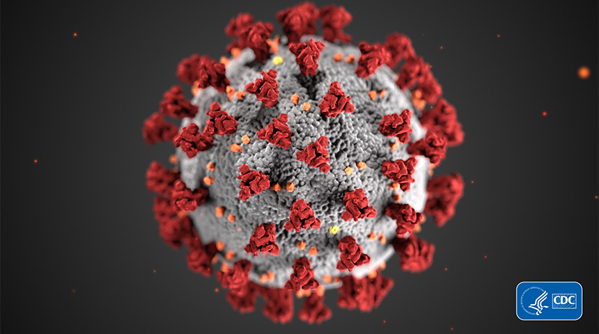 microscopic view of coronavirus