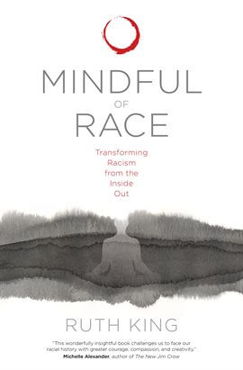 Mindful of Race book cover