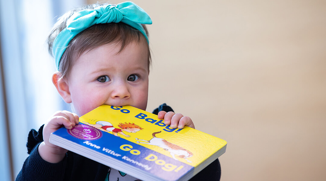 Baby wearing a blue headband and chewing on a board book.