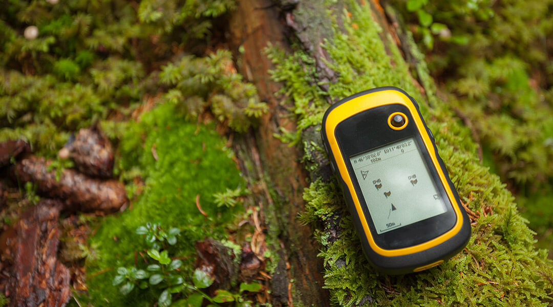 Mobile GPS tracker on moss-covered log