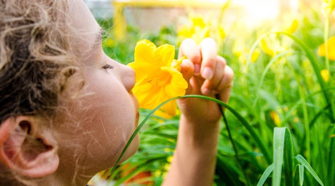 A child sniffs a yellow flower.