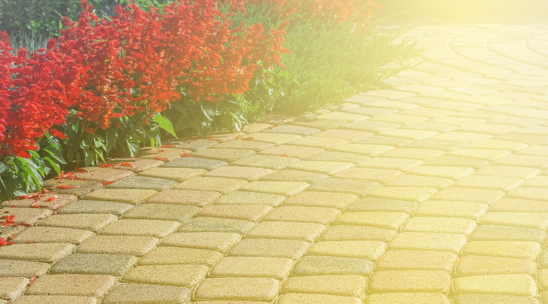 Hazy photo of a yellow brick path lined with red flowers