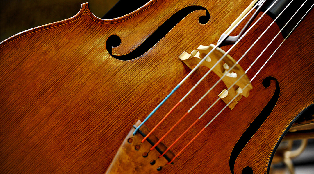 Detail of a double bass string music instrument
