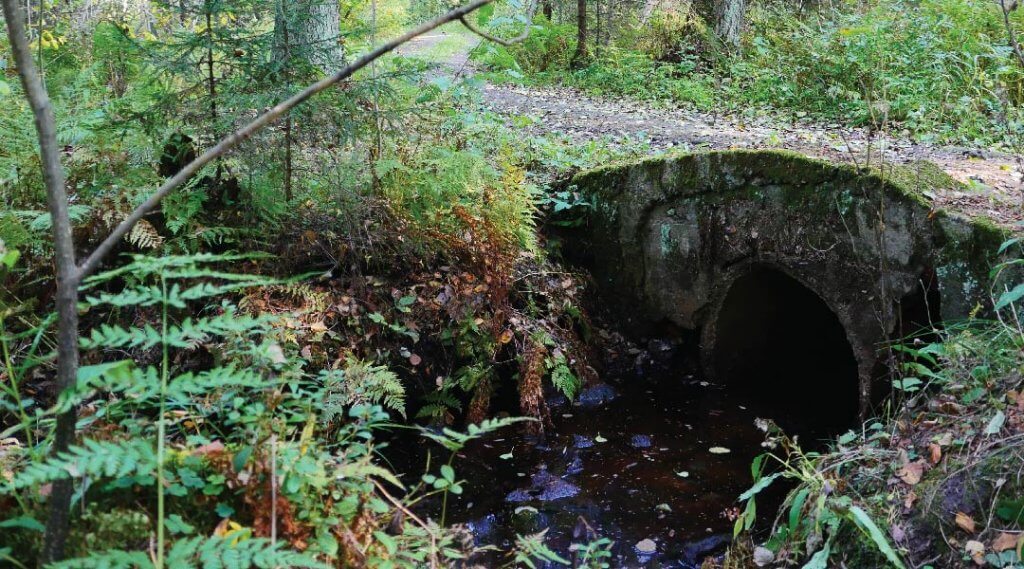 A stone bridge on a walking trail in the forest.
