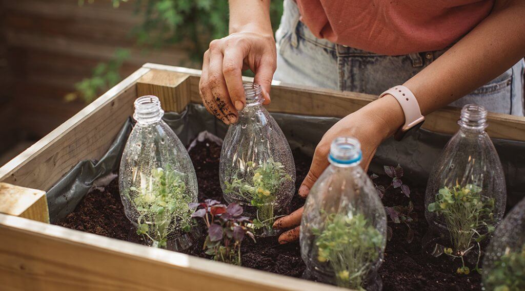 Gardening crafts made with recycled plastic bottles.