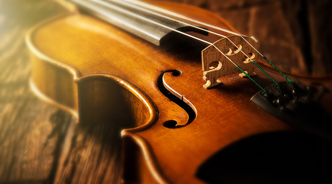 violin in vintage style on wood background